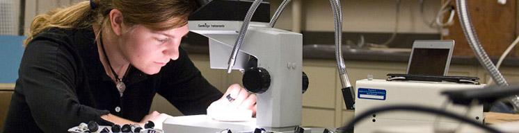 Picture of woman doing research